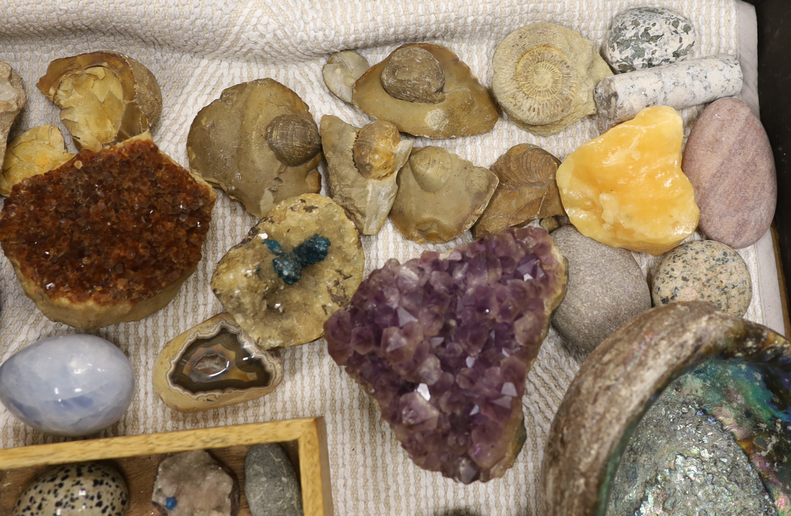 A collection of minerals, gemstones and fossils including quartz samples, ammonites, etc.